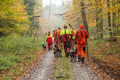 Jäger mit Jagdhunden auf einem Waldweg