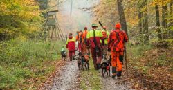 Jäger mit Jagdhunden auf einem Waldweg